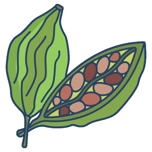 Green Cardamom